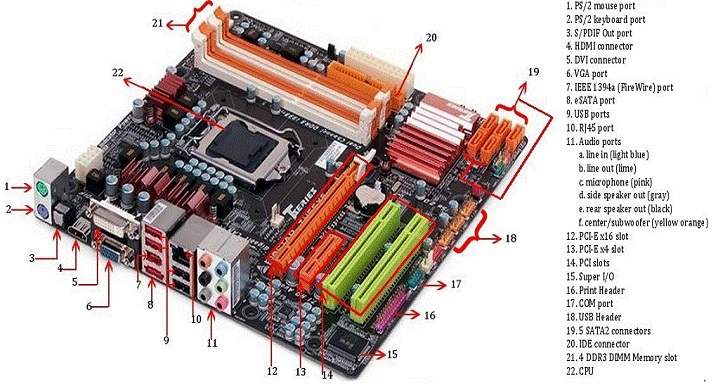 motherboard_components.jpg